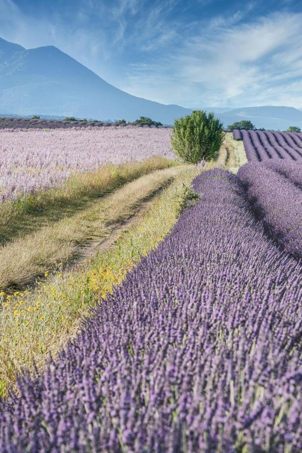 Gite Le Val Zen Valaurie - Drome Provencale Εξωτερικό φωτογραφία